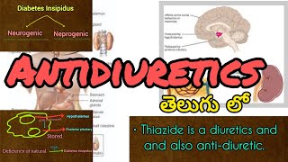 Antidiuretics in telugu [upl. by Rosette]