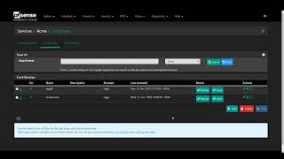 Quick and easy secured reverseproxy endpoints via HAProxy  ACME on your pfSense machine [upl. by Narf887]