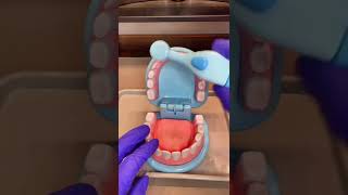 Dental ASMR Teeth Cleaning No Talking  Melissa amp Doug Dentist Kit Play Set Shorts [upl. by Llenad592]