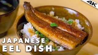 Japanese UNAGI EEL Restaurant in TOKYO  Roppongi Tokyo 4K [upl. by Gerita545]