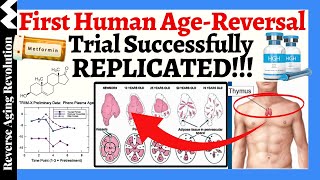 FIRST Human AgeReversal Trial REPLICATED This Groundbreaking Treatment Holds the Key to YOUTH [upl. by Anamuj783]