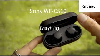 Everything you need to know about Sony WFC510  Review [upl. by Nahtaneoj]