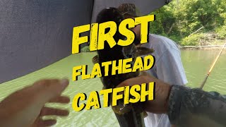 First Flathead Catfish [upl. by Cosenza]