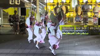 東京えびす連 組踊り in 渋谷ストリーム 阿波踊り 阿波おどり awaodori 高円寺 祭り 20240915日 [upl. by Risay]