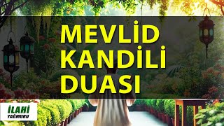 Mevlid Kandili Duası ve Mevlid Kandili İlahisi  En güzel Dualar  İlahi Yağmuru [upl. by Edelman]