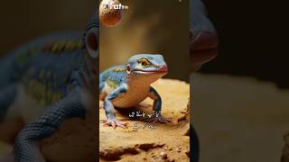 Threetoed skinks 🦎factbite facts sciencefacts bitesizedfacts [upl. by Hannus]