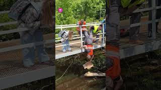 Rescue Operation Construction Workers Save Pet from Ditch shorts [upl. by Murrah]