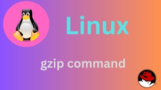 3050 Basic Linux Commands  gzip command Explained shortsvideo linux linuxtutorial [upl. by Eittocs]