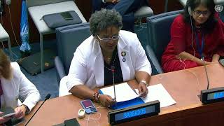 Remarks by the Prime Minister of Barbados and Chair of the Global Leaders Group on AMR during HLM [upl. by Hale]