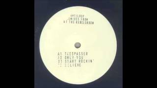 Antiloop  Trespasser Robbie Riveras Twisted Mix [upl. by Anirt]