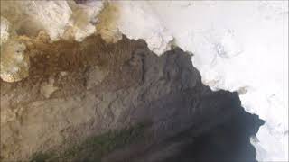 Hundreds of fruit bats in a cave  Egyptian fruit bat Rousettus aegyptiacus – Cyprus 3172024 [upl. by Bocyaj]