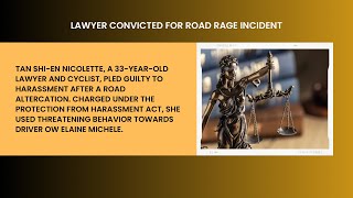 Lawyer Convicted for Road Rage Incident [upl. by Donica]