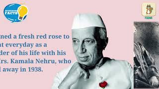 Facts About Jawaharlal Nehru  India’s First Prime Minister  14th November  Childrens Day [upl. by Pelagia]