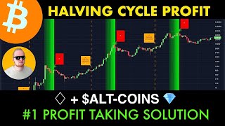 BITCOIN HALVING CYCLE PROFIT  AltCoins Explained [upl. by Amekahs]