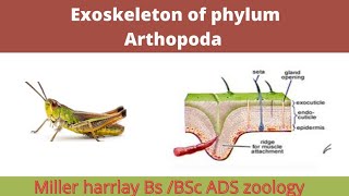 Exoskeleton of phylum ArthopodazoologyMiller amp Harrlay [upl. by Konopka601]