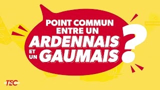 Le réseau GaumeSud Ardenne du TEC fait peau neuve [upl. by Tiffie]