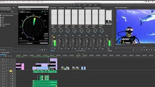 Adobe Premiere LKFS Audio Mixing [upl. by Oly297]