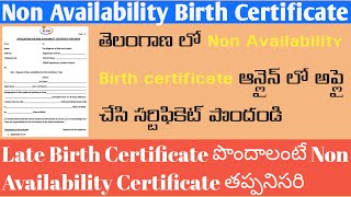 Non Availability Birth Certificate TeluguNon Availability Birth Certificate in Telangana [upl. by Emmerich]