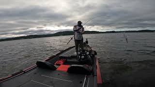 2024  2025 ABA Div 75 season opener on Lake Mitchell out of Higgins Ferry lamarcolemanfishing [upl. by Schubert]