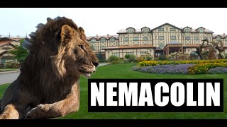 Exploring the Wonders of Nemacolin Woodlands Zoo A FunFilled Visit [upl. by Grani]