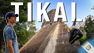 The BEST Way to Visit TIKAL Maya Ruins Sunset Tour  FLORES GUATEMALA [upl. by Irrem]