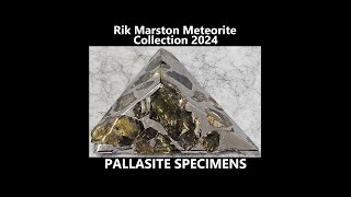 Meteorite Collection 2024 Pallasite Iron Stone Olivine Crystal Rik Marston [upl. by Madian]