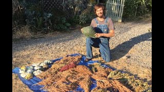 Matt Powers on SEED SAVING  The Advanced Permaculture Student Online [upl. by O'Grady]