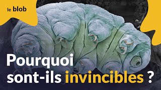 Comment les tardigrades défient la mort  Actu de science [upl. by Noryak]