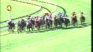 1991 Stradbroke Handicap  Rough Habit [upl. by Noryahs]