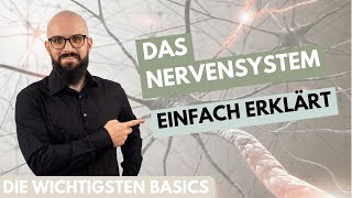 Das Nervensystem einfach erklärt [upl. by Akissej]