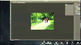 Creating a Diptych in Photoshop [upl. by Iclek305]