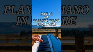 Day 19 of playing piano in nature pianomusic pianocover piano [upl. by Kamila]