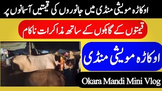 Okara Maweshi Mandi Mini Vlog 2024 [upl. by Gracie]