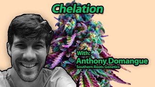 Chelation with Anthony Domangue [upl. by Nylecaj]