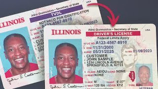 Driver’s licenses now available to undocumented immigrants [upl. by Welch413]