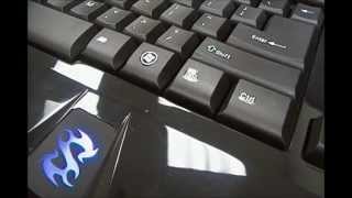 Sharkoon Skiller Gaming Keyboard Hardware Overview amp Software Demonstration [upl. by Ealasaid]