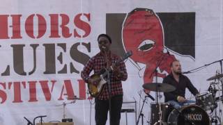 JK0628F DELGRES USA Le Film du Concert quot Cahors Blues Festival 2016 [upl. by Anelej]