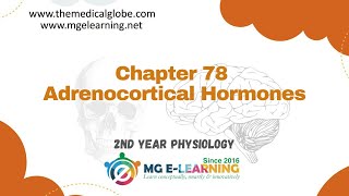 Adrenocortical Hormones Chapter 78 Endocrinology and Reproduction Physiology [upl. by Emmeram162]