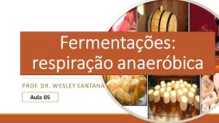 Fermentação respiração anaeróbica [upl. by Gerdi211]