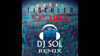 Moshe Tischler  Bishvili DJ Sol Remix [upl. by Annahsad]