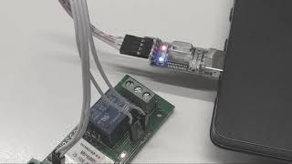 Flashing ESPurna Custom Firmware on ITEAD 1CH WiFi Switch [upl. by Nitsruk]