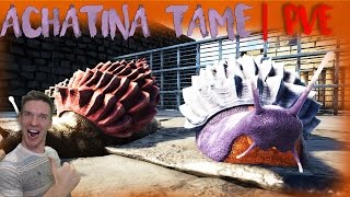 ARK  THE CENTER  ACHATINA PVE TAME  THE EASY WAY [upl. by Teria203]