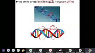 Medicinal 3 Antineoplastic agents Part 1 [upl. by Ayikal]