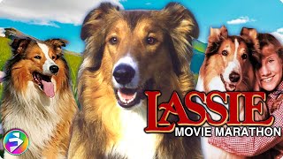 LASSIE Mega Marathon  3 Classic Movies featuring your favorite canine  Dog Movies [upl. by Denyse]