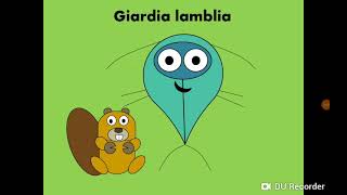 Giardia lamblia Intestinal flagellate داء الجيارديات [upl. by Luis]