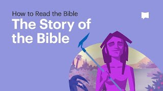 The Story of the Bible • What Its About From Beginning to End [upl. by Viscardi]