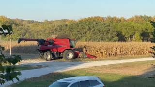 Combine corn Fall 2023 [upl. by Burford]