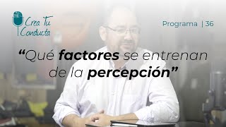 Qué factores se entrenan de la percepción [upl. by Assirrec188]