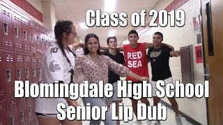 Bloomingdale HS Senior Lipdub 2019 [upl. by Honan867]