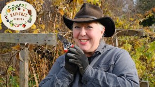 The Right Way to Prune Your Raspberry Canes [upl. by Ardnuhsed621]